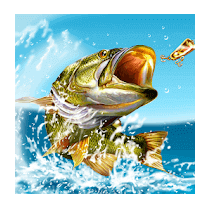 Pocket Fishing APK Download
