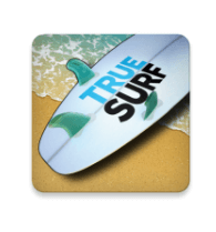 Download True Surf MOD APK