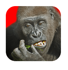 Download Flying Gorilla MOD APK
