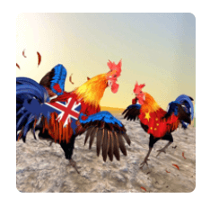 Download Farm Rooster Fighting: Angry Chicks Ring Fighter 2 MOD APK