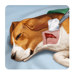 Download Operate Now: Animal Hospital MOD APK