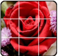 Download Puzzle Flowers MOD APK