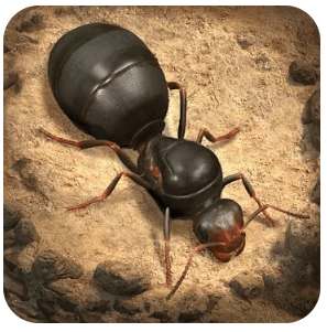 The Ants Underground Kingdom MOD APK