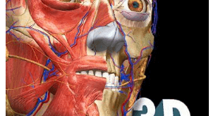 Download Anatomy Learning - 3D Anatomy Atlas MOD APK