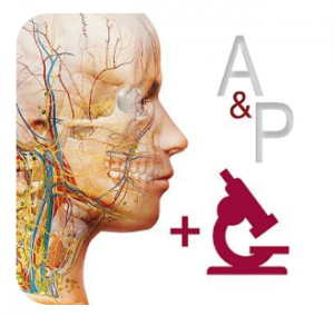 Download Anatomy & Physiology MOD APK