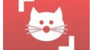 Download Cat Scanner MOD APK