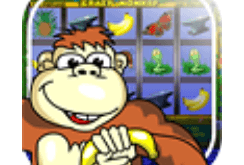 Download Crazy Monkey Slot Machine MOD APK