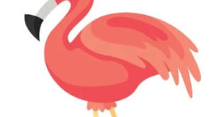 Download Flamingo Animator MOD APK