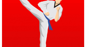 Download Taekwondo Workout At Home MOD APK