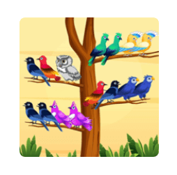 Download Bird Sort Color Puzzle Games MOD APK