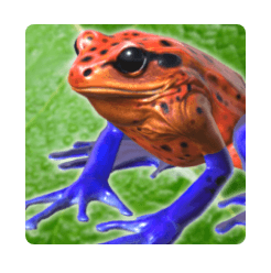 Download Frog Friends MOD APK