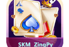 Download SKM ZingPy MOD APK