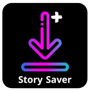 Download Video Downloader and Stories MOD APK