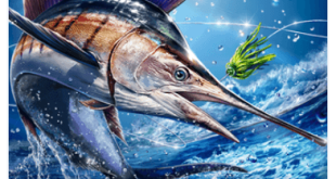 Ace Fishing Wild Catch Download For Android