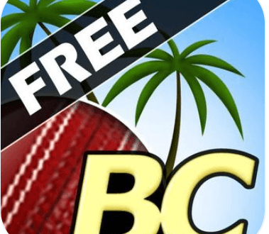 Beach Cricket Download For Android
