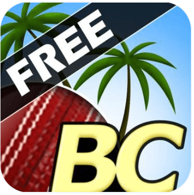Beach Cricket Download For Android