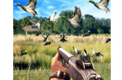 Download Duck Hunting challenge MOD APK