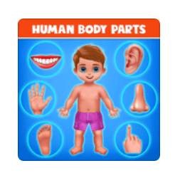 Download Human Body Parts MOD APK