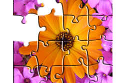 Download Nature Jigsaw Puzzle Game MOD APK