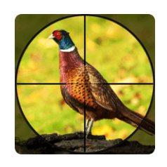 Download Pheasant Shooter MOD APK