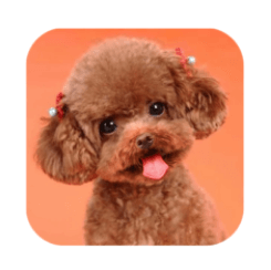 Download Teddy Dog Simulator MOD APK