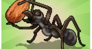 Pocket Ants Download For Android