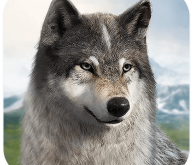 Wolf Game Wild Animal Wars Download For Android