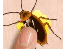 Cockroach Smasher Download For Android