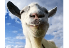 Download Goat Simulator APK