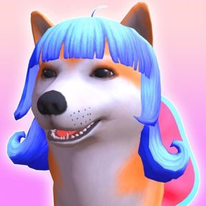Download Groomer run 3D for iOS APK
