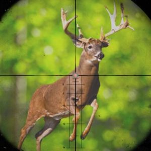 Download Huntsman  Wild Deer Hunt for iOS APK
