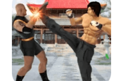 Download Real Superhero Kung Fu Fight Champion APK