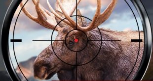 Download Wild Hunt Hunting Simulator for iOS APK