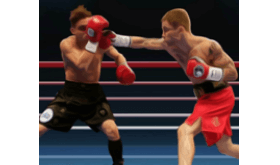 Download Zoombit Wrestling Punch Boxing MOD APK