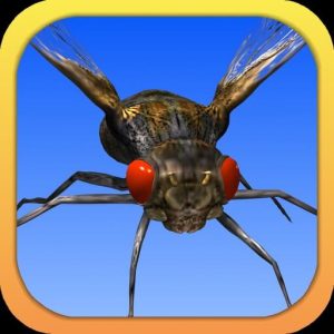 Download Angry Flies for iOS APK