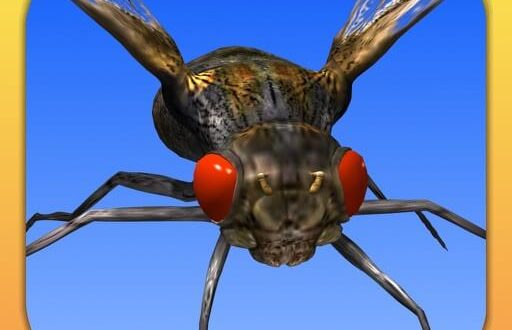 Download Angry Flies for iOS APK