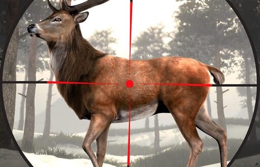 Download Animal Jungle Hunter Sniper 3D for iOS APK