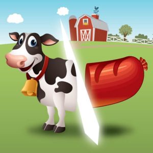 Download Farm Samurai Chef Game for iOS APK 