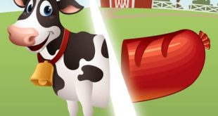 Download Farm Samurai Chef Game for iOS APK