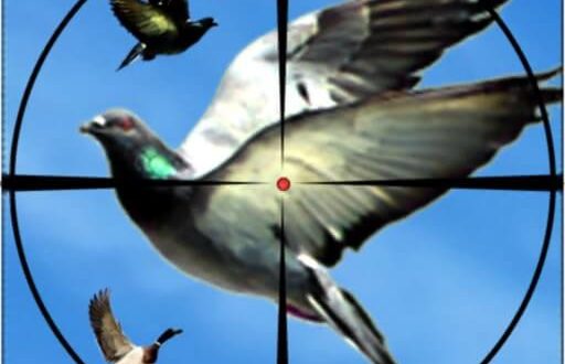Download Flying Birds Hunting Game 3D for iOS APK