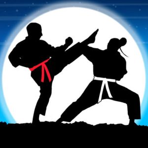 Download Karate Fighter  Real battles for iOS APK