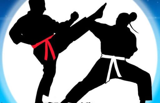 Download Karate Fighter Real battles for iOS APK