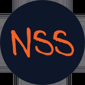 Download NSS Heroes for iOS APK 