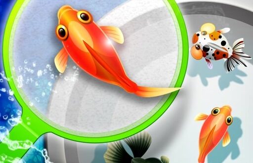 Download Shin Goldfish Scooping for iOS APK
