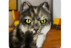 Download Talking Cat Funny MOD APK