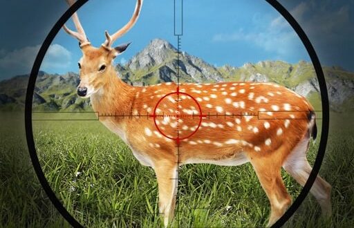 Download Wild Hunt Gun Shooting Games for iOS APK