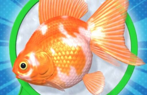 Download 金魚すくいDX for iOS APK