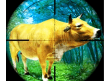 Jungle Cow Hunt Download For Android