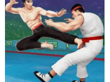 Karate Fighter Download For Android