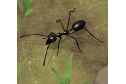 Latest Version Ant Empire Simulator MOD APK